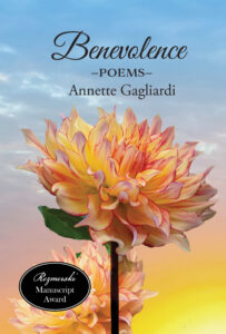 benevolence single dahlia_front only